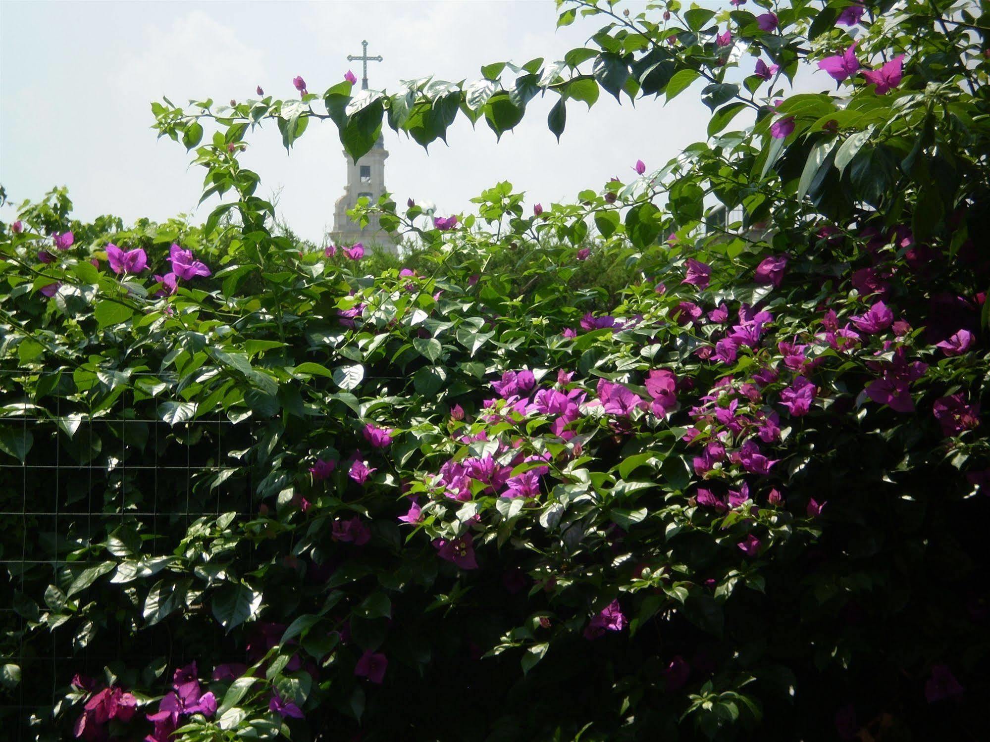 B&B Pompei Welcome ภายนอก รูปภาพ
